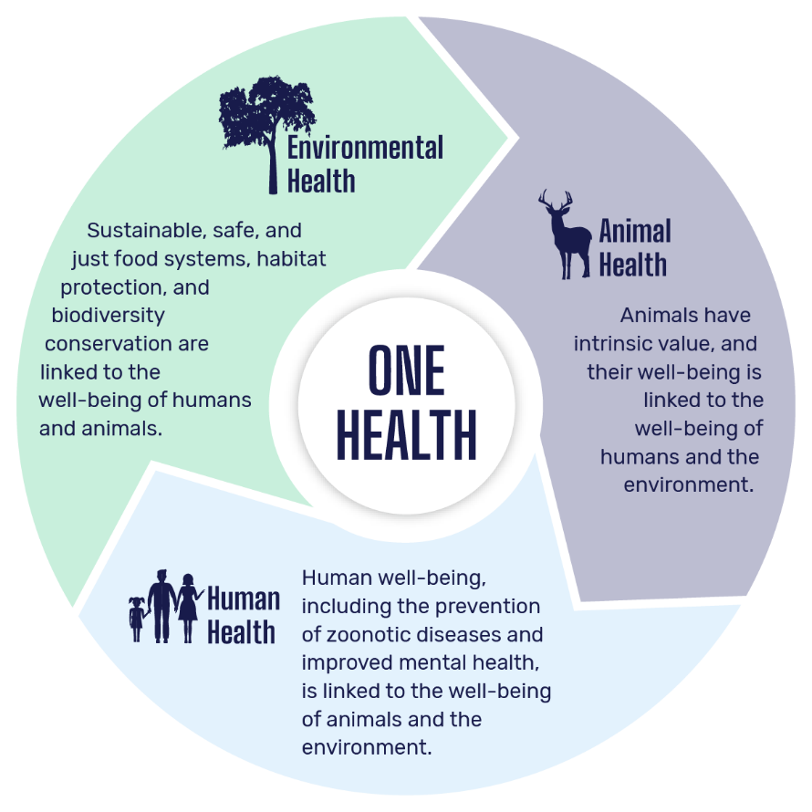 One Health infographic